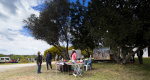 Silves Garden Fair