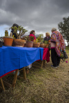 Silves Garden Fair