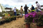 Silves Garden Fair