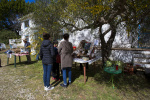 Silves Garden Fair