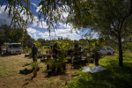 Silves Garden Fair