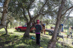 Silves Garden Fair