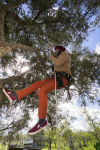 Silves Garden Fair