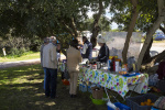 Silves Garden Fair