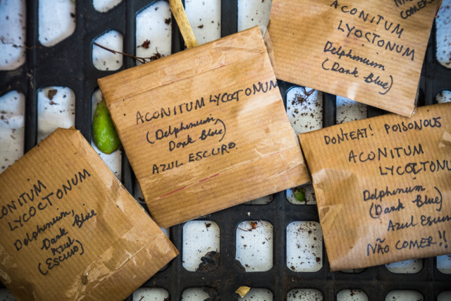 Plants and Seeds Exchange Algarve Encontro de Troca de Plantas e Sementes do Algarve
