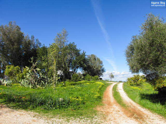 Silves Spring Garden Fair 2017 Algarve Blog