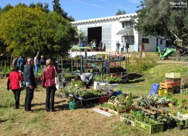 Silves Spring Garden Fair 2017 Algarve Blog