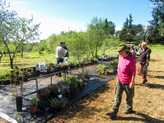 Silves Spring Garden Fair 2017 Algarve Blog