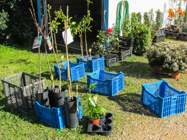 Silves Spring Garden Fair 2017 Algarve Blog