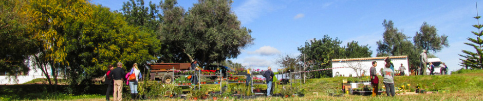 Silves Spring Garden Fair 2017 Algarve Blog