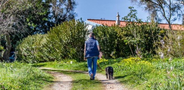 Silves Spring Garden Fair 2017 Algarve Blog