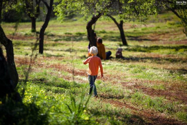 Silves Spring Garden Fair 2017 Algarve Blog