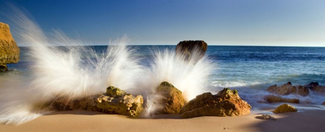 Dave Sheldrake Photographer