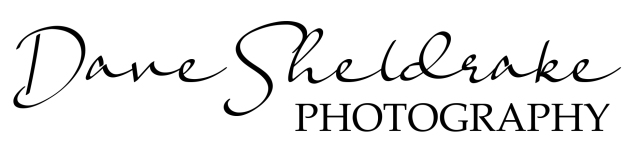 Logo FINAL - blackcrop